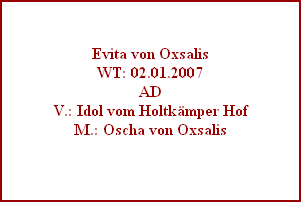 Evita von Oxsalis
WT: 02.01.2007
AD
V.: Idol vom Holtkämper Hof
M.: Oscha von Oxsalis