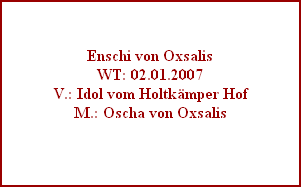 Enschi von Oxsalis
WT: 02.01.2007
V.: Idol vom Holtkämper Hof
M.: Oscha von Oxsalis