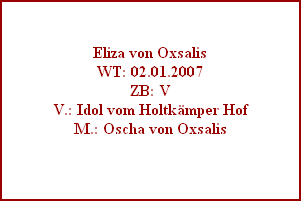 Eliza von Oxsalis
WT: 02.01.2007
ZB: V
V.: Idol vom Holtkämper Hof
M.: Oscha von Oxsalis