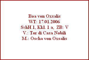Boa von Oxsalis
WT: 17.01.2006
SchH 1, Kkl. 1 a,  ZB: V
V.: Tor di Casa Nobili
M.: Oscha von Oxsalis