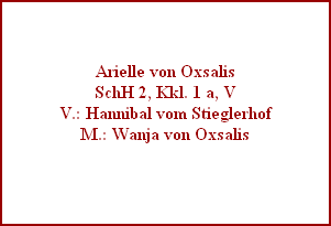 Arielle von Oxsalis
SchH 2, Kkl. 1 a, V
V.: Hannibal vom Stieglerhof
M.: Wanja von Oxsalis