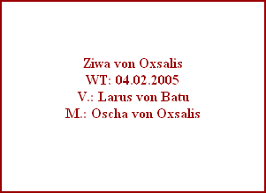 Ziwa von Oxsalis
WT: 04.02.2005
V.: Larus von Batu
M.: Oscha von Oxsalis