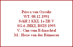 Prisca von Oxsalis
WT: 08.12.1991
SchH 2 KKL 1a ZB:V
SG-6 JHKL BSZS 1993
V.: Cim vom Ecknachtal
M.: Hexe von der Römerau