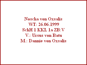 Noscha von Oxsalis
 WT: 26.06.1999
SchH 1 KKL 1a ZB:V
V.: Ursus von Batu
M.: Dannie von Oxsalis