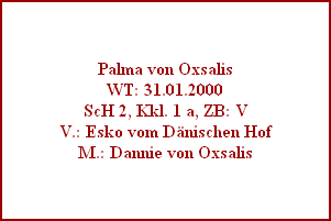 Palma von Oxsalis
WT: 31.01.2000
ScH 2, Kkl. 1 a, ZB: V
V.: Esko vom Dänischen Hof
M.: Dannie von Oxsalis
