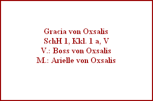 Gracia von Oxsalis
SchH 1, Kkl. 1 a, V
V.: Boss von Oxsalis
M.: Arielle von Oxsalis